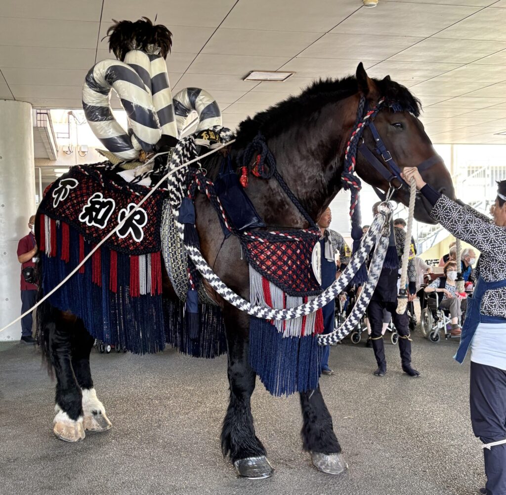 飾り馬🐎来訪～！！