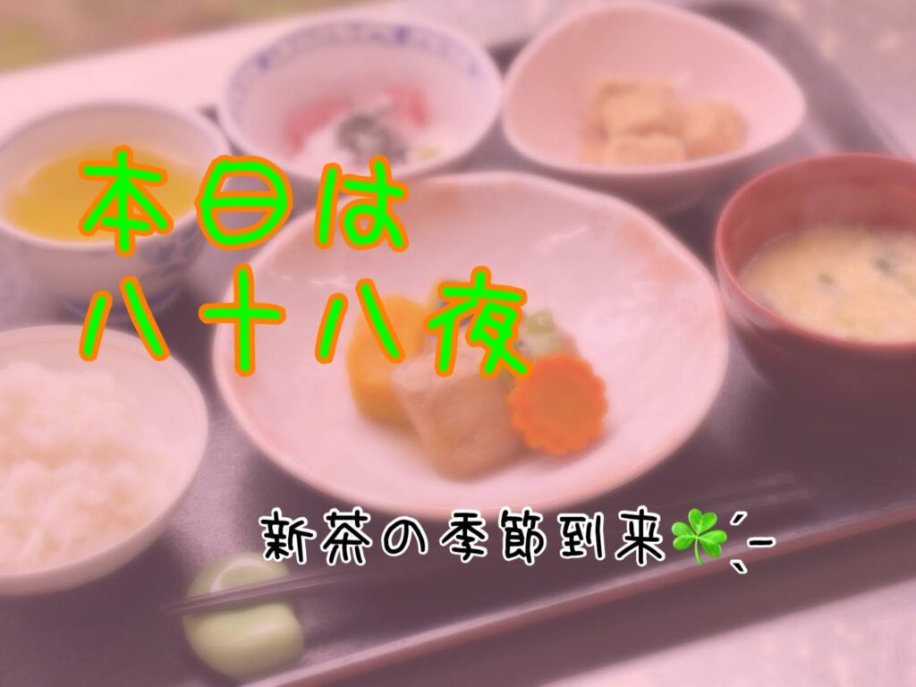 新茶の季節到来です🍃