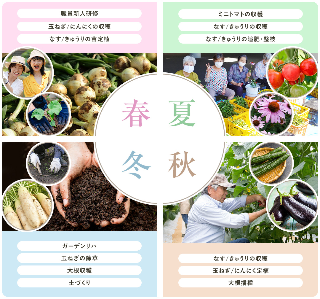 主な栽培スケジュールと行事
