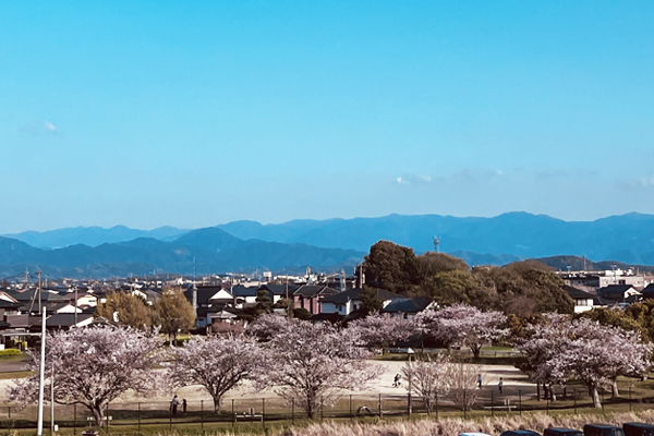 室内からの風景