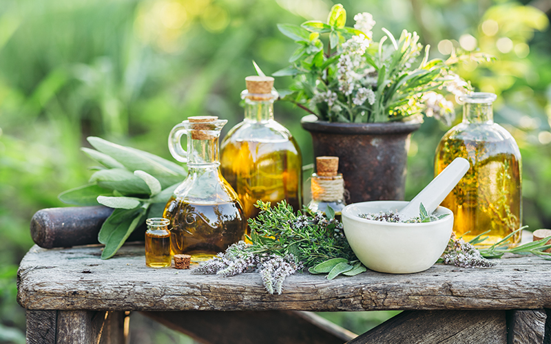 春から始めるプランターで毎日摘みたてのハーブを味わう新しい生活の提案
