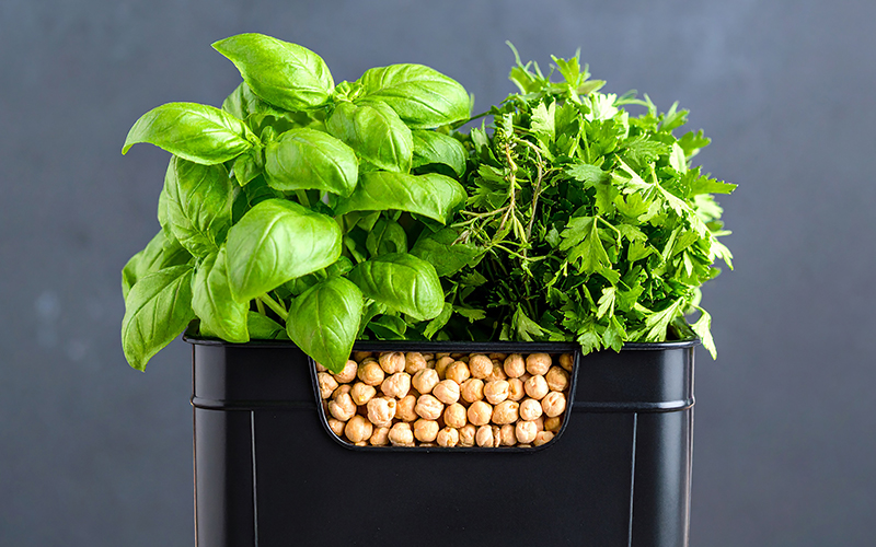 ハーブガーデニングが心と体に与える効果