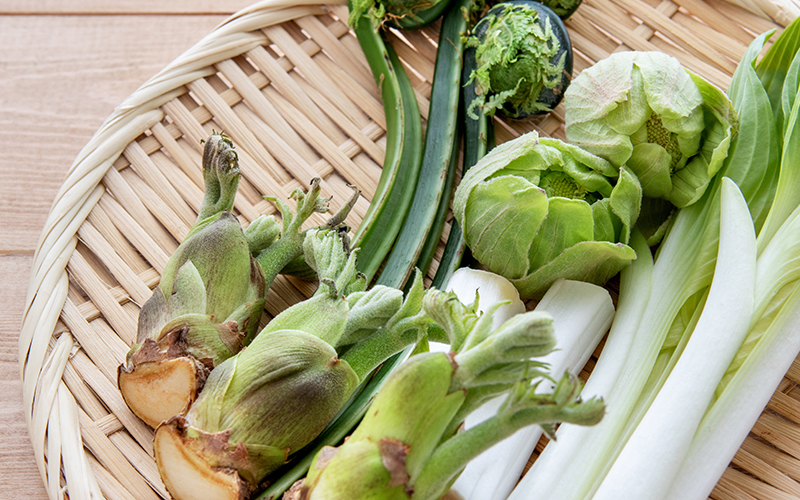 春野菜の種類と簡単レシピ｜レンジ5分で作れる栄養満点メニュー