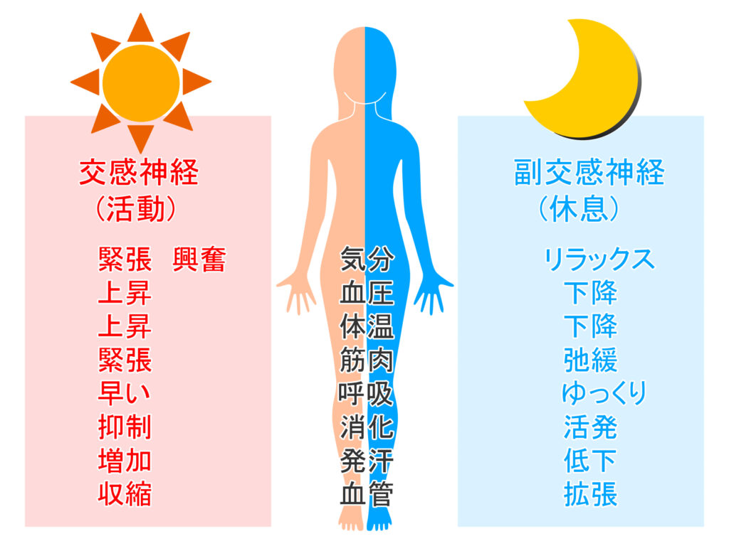 ケアにおける自律神経への対応について