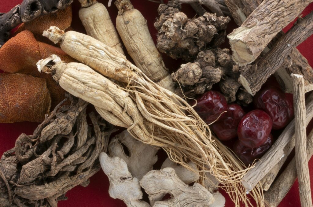 第九十三回東洋医学療法の紹介コラム76薬膳茶㉖目的別・薬膳茶に使う食薬ー消②